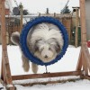 Agility