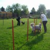 Teamtraining_1