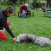Agnes_Nein_Nimms
