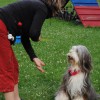 Agnes_Pfoetchen