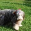 Agnes_Wandern