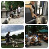 2017-07-Muenchen2