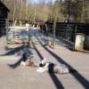 Zoo04