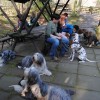 Zoo07