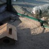 Zoo08