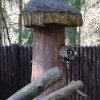 Zoo11