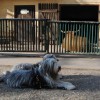 Zoo12