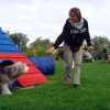 Agility-3