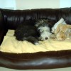 Emmas Sofa