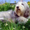 Fruehling-1