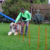 Agility