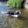Baden