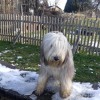 Agility