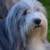 Belinda_09_14