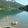 Baden