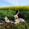 Fruehling
