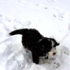 Erster_Schnee