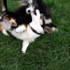Spielen_m_Paula