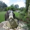Durst_1