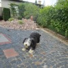Spielen_1