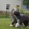 Spielen_2