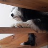Treppe
