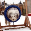 Agility