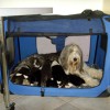 4.Wo.-Gewoehnung an die Box