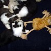 4.Wo.-Spielen