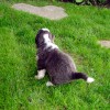 5.Wo.- Stubenrein-training