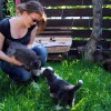 7.Wo.-Katzen kennenlernen