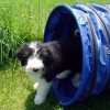 Agility