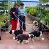 Baumarkt-Besuch