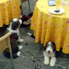 Besuch im Cafe
