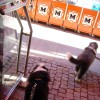 Shoppingtour