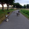 Spaziergang