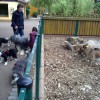 Zoobesuch