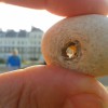 001_HagStone