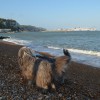 003_Dover_2