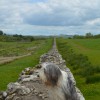 007_HadriansWall_1