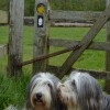 008_HadriansWall_2