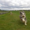 009_HadriansWall_3