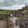 011_HadriansWall_5