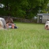 017_Lockerbie_2