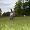 018_Lockerbie_3