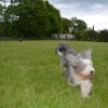 019_Lockerbie_4