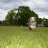 020_Lockerbie_5