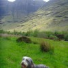 023_GlenCoe_1