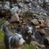 025_GlenCoe_3