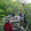 028_Bridge_2